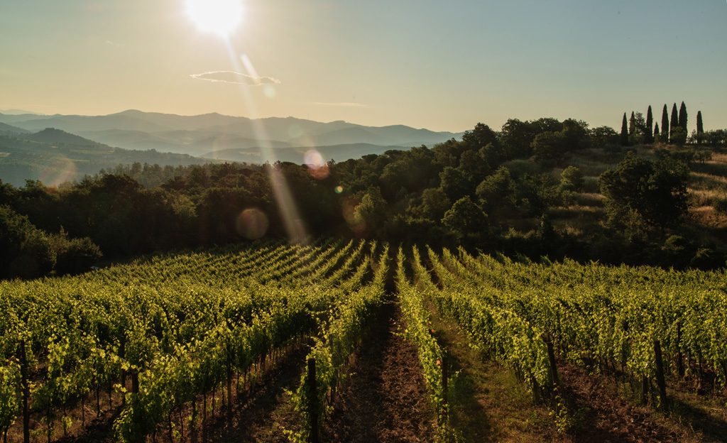 tenuta-di-carleone-vignaioli-di-radda-panorama