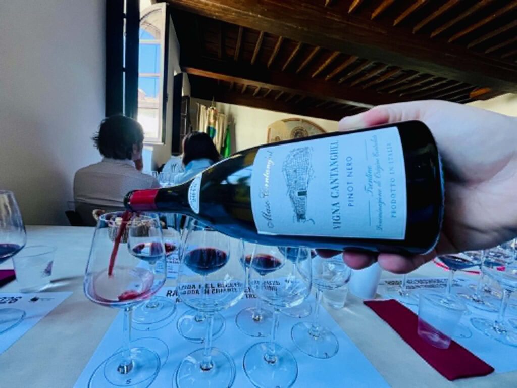 Maso-Cantaghel-Pinot Nero 2016