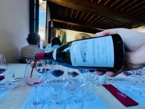 Maso-Cantaghel-Pinot Nero 2016