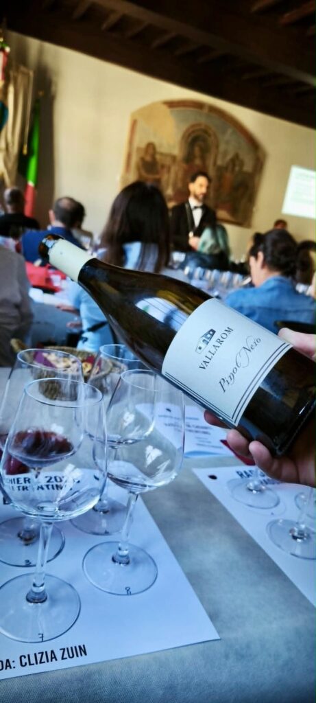 Villarom pinot nero 2016